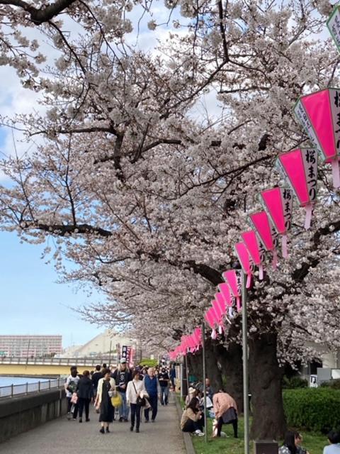 Sky Tree Inn Ⅱ（晴樹宿ⅱ） Tokyo Exterior photo
