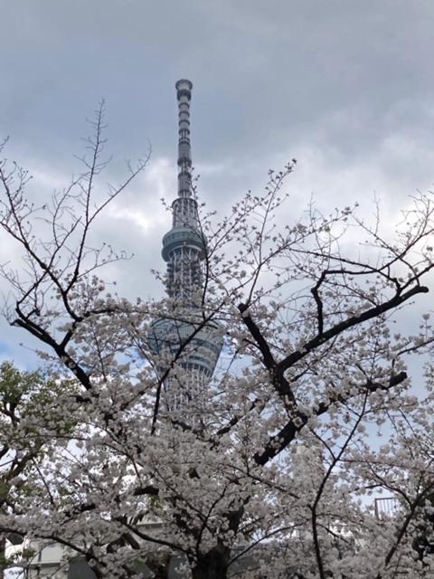 Sky Tree Inn Ⅱ（晴樹宿ⅱ） Tokyo Exterior photo